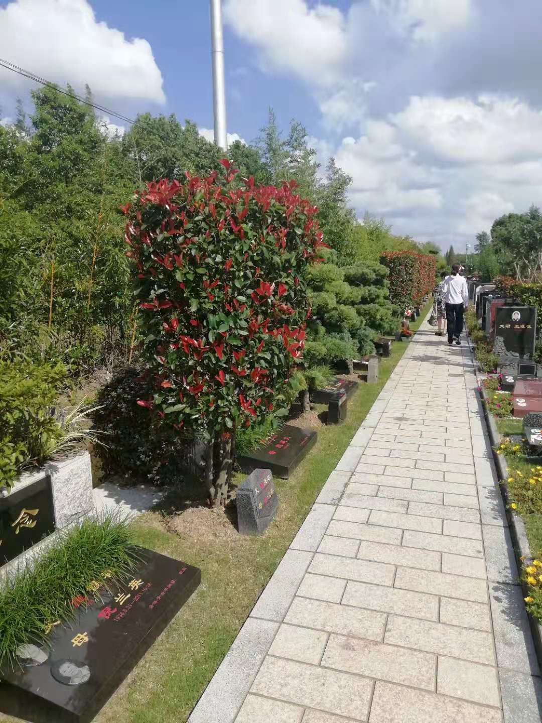 @